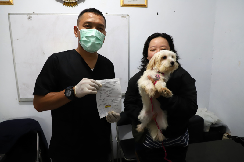 Petugas ketahanan pangan kelautan dan pertanian Kecamatan Tebet di Kantor Sekretariat RW 02 Kebon Baru menggelar vaksinasi rabies gratis (Ashar/SinPo.id)