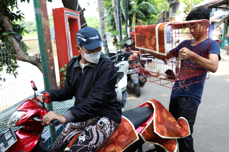 Petugas ketahanan pangan kelautan dan pertanian Kecamatan Tebet di Kantor Sekretariat RW 02 Kebon Baru menggelar vaksinasi rabies gratis (Ashar/SinPo.id)