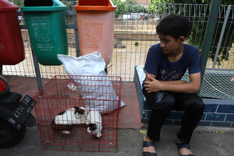 Petugas ketahanan pangan kelautan dan pertanian Kecamatan Tebet di Kantor Sekretariat RW 02 Kebon Baru menggelar vaksinasi rabies gratis (Ashar/SinPo.id)