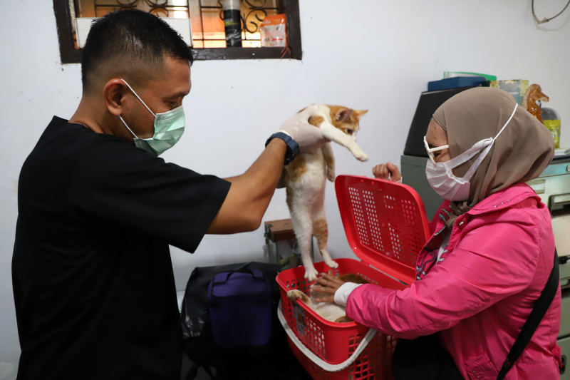 Petugas ketahanan pangan kelautan dan pertanian Kecamatan Tebet di Kantor Sekretariat RW 02 Kebon Baru menggelar vaksinasi rabies gratis (Ashar/SinPo.id)