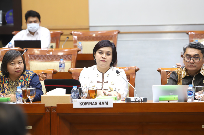 Komisi III DPR gelar raker dengan Komnas HAM membahas evaluasi kinerja Komnas HAM selama 2023-2024 (Ashar/SinPo.id)