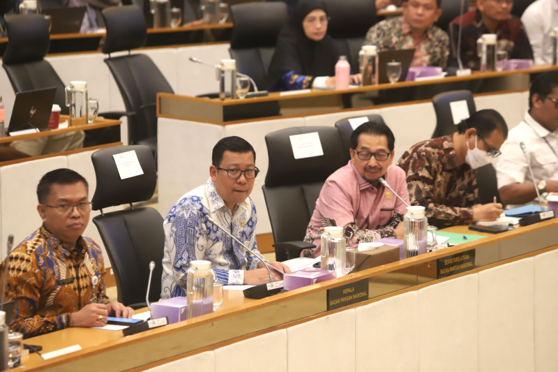 Komisi IV DPR gelar RDP dengan Kepala Badan Pangan Nasional Arief Prasetyo Adi membahas laporan keuangan APBN TA 2024 (Ashar/SinPo.id)
