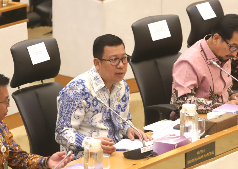 Komisi IV DPR gelar RDP dengan Kepala Badan Pangan Nasional Arief Prasetyo Adi membahas laporan keuangan APBN TA 2024 (Ashar/SinPo.id)