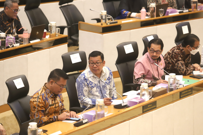 Komisi IV DPR gelar RDP dengan Kepala Badan Pangan Nasional Arief Prasetyo Adi membahas laporan keuangan APBN TA 2024 (Ashar/SinPo.id)