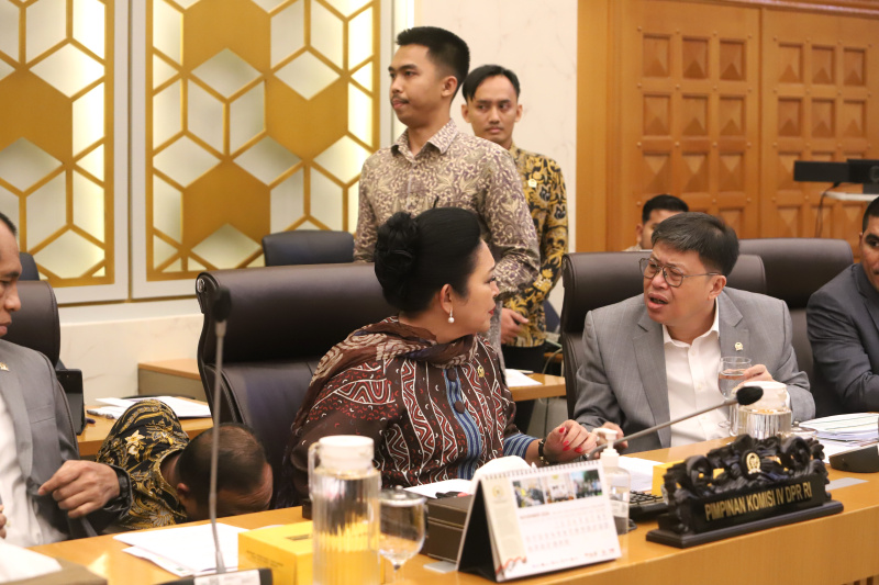 Komisi IV DPR gelar RDP dengan Kepala Badan Pangan Nasional Arief Prasetyo Adi membahas Program kerja 2025 (Ashar/SinPo.id)