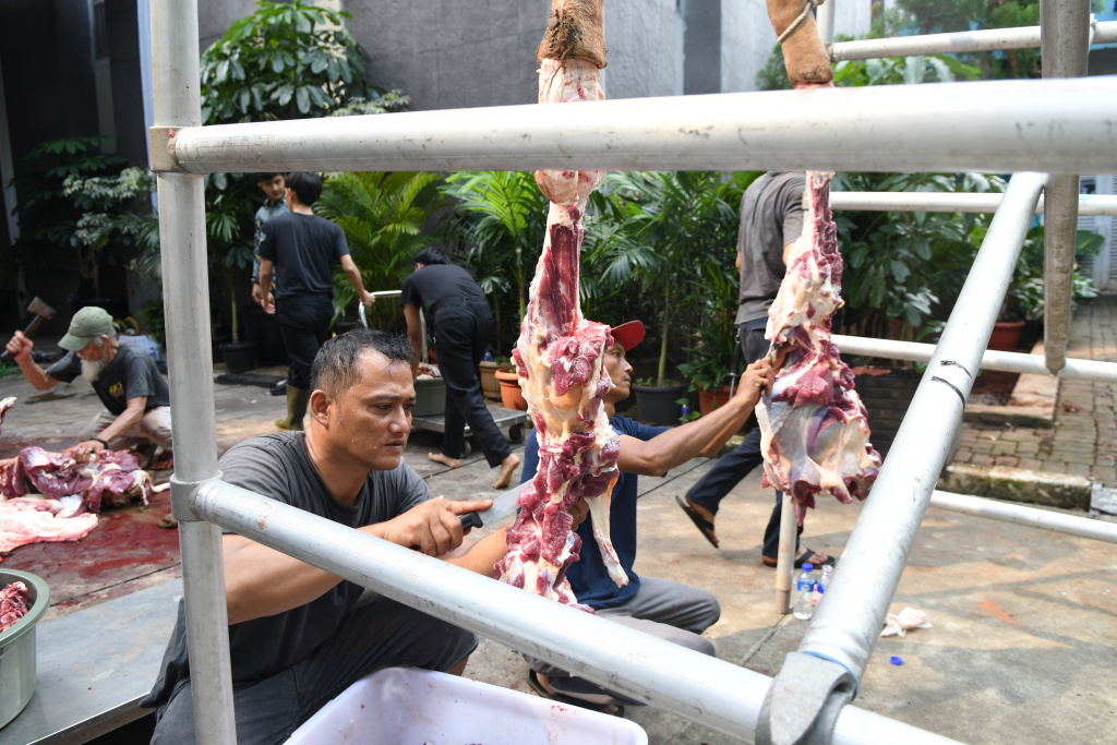 KPK Salurkan 8 ekor sapi Idul Adha 1447 H (Ashar/SinPo.id)