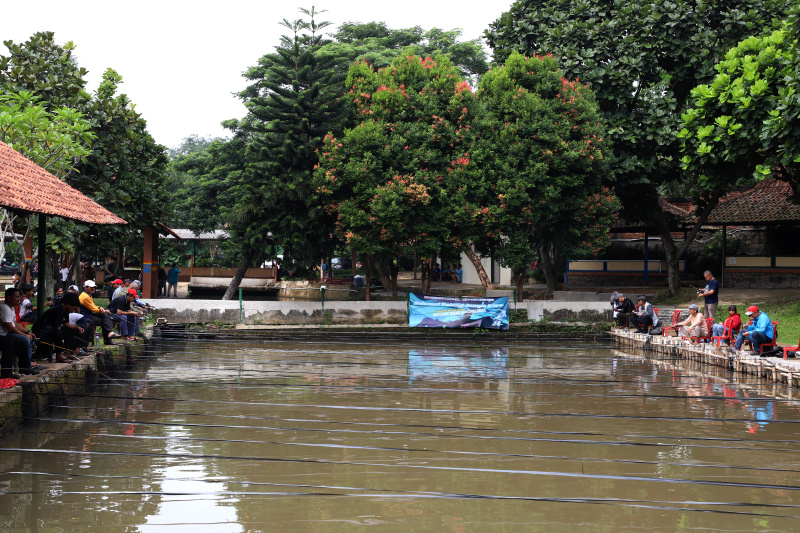 Koordinatoriat Wartawan Parlemen menggelar lomba mancing dalam rangka memperingati Hari kesetiakawanan Sosial Nasional di Kolam pancing Cinangka, Depok (Ashar/SinPo.id)