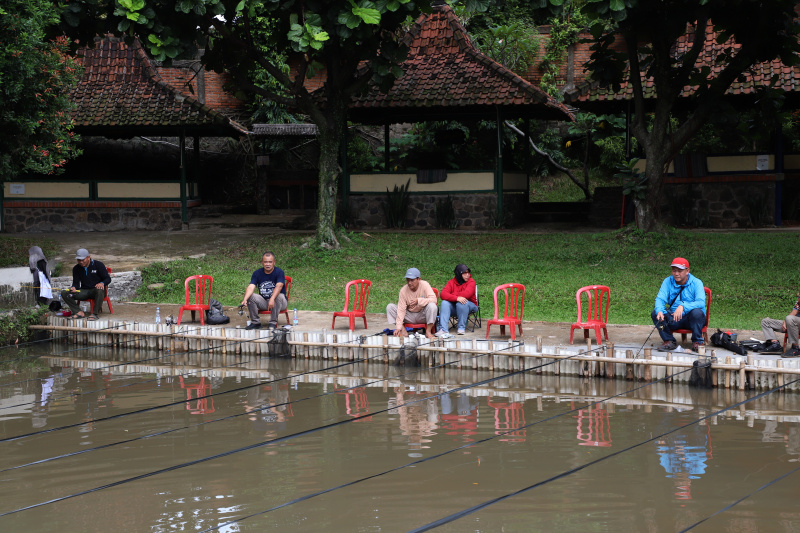 Koordinatoriat Wartawan Parlemen menggelar lomba mancing dalam rangka memperingati Hari kesetiakawanan Sosial Nasional di Kolam pancing Cinangka, Depok (Ashar/SinPo.id)