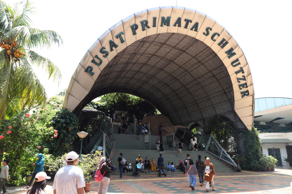 Pengunjung antusias menyaksikan antraksi Feeding Gorila atau memberikan makan untuk Gorila yang dihiasi ornamen Natal di Ragunan Zoo (Ashar/SinPo.id) (