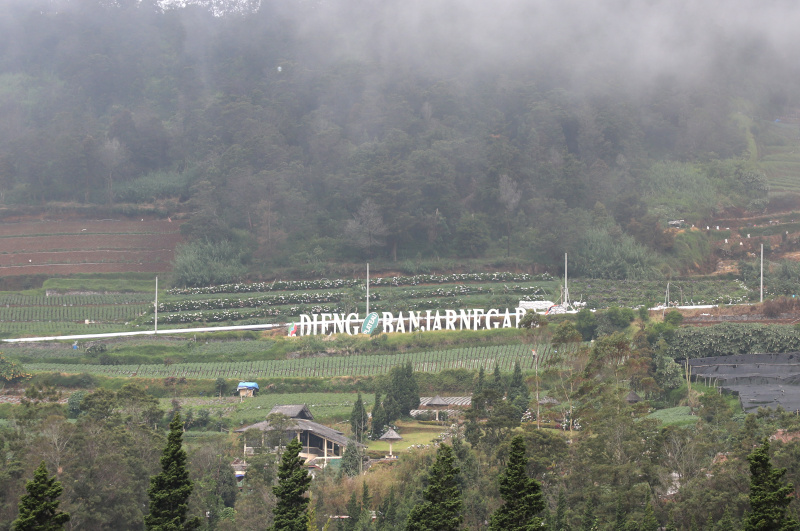 Libur panjang Waisak Wisata Dieng dipadati oleh para wisatawan lokal dan internasional (Ashar/SinPo.id)