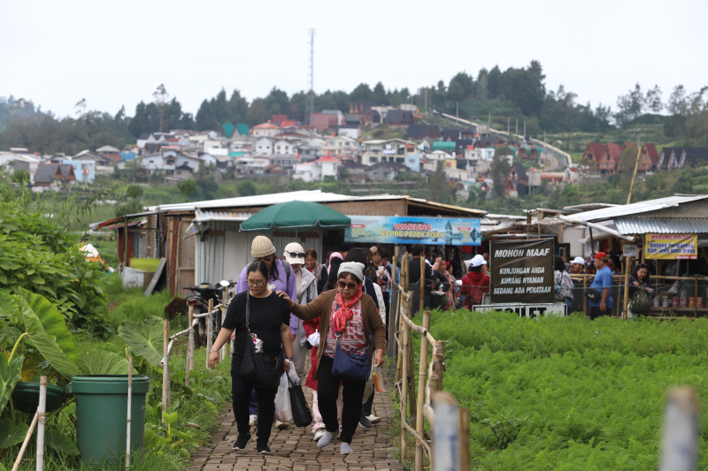 Libur panjang Waisak Wisata Dieng dipadati oleh para wisatawan lokal dan internasional (Ashar/SinPo.id)