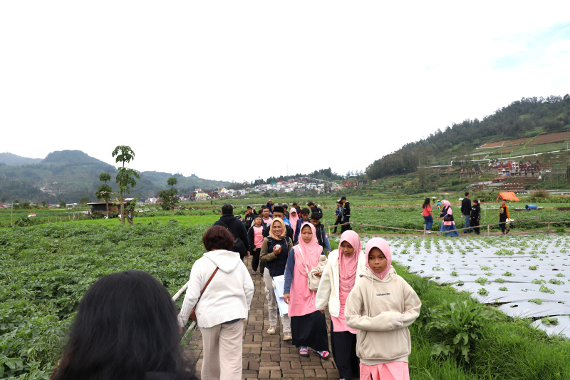 Libur panjang Waisak Wisata Dieng dipadati oleh para wisatawan lokal dan internasional (Ashar/SinPo.id)