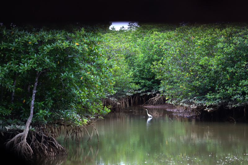 M4CR dan BRGM gelar diskusi