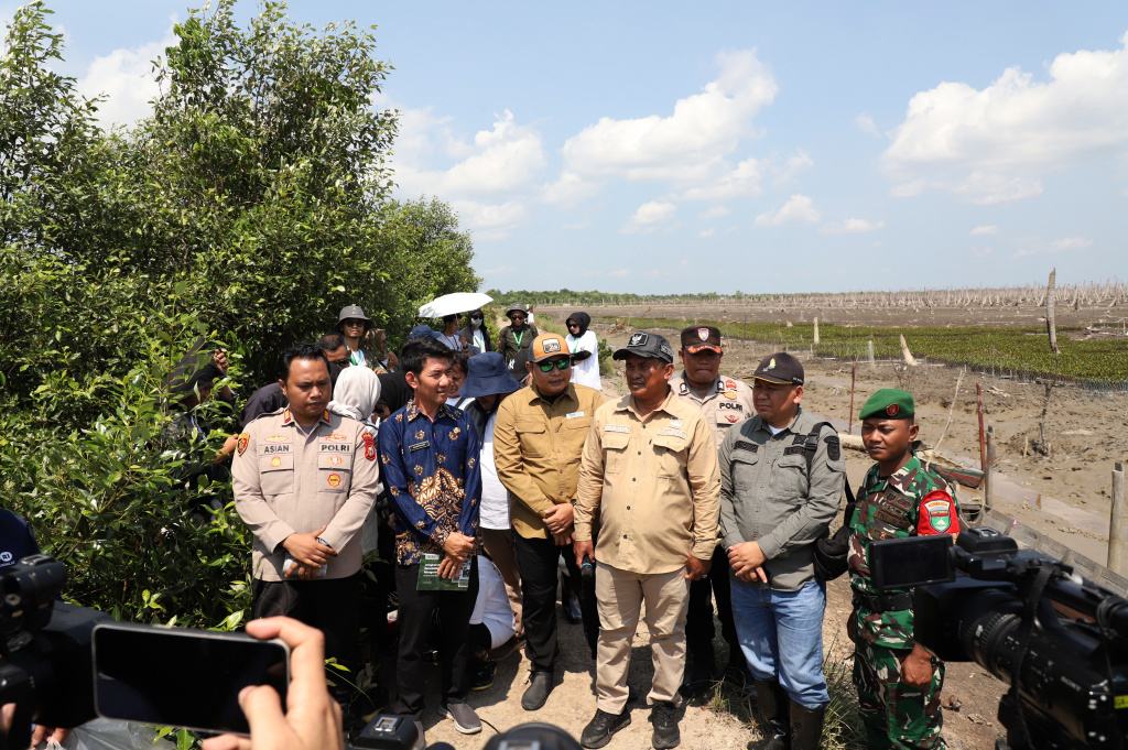 M4CR (Mangroves For Coastal Resilience) menanam mangrove dan rehabilitasi mangrove di Desa Kualat Selat (Ashar/SinPo.id)