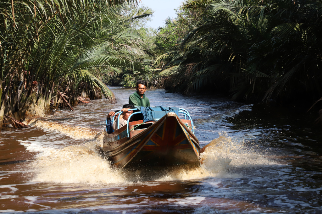 M4CR (Mangroves For Coastal Resilience) menanam mangrove dan rehabilitasi mangrove di Desa Kualat Selat (Ashar/SinPo.id)