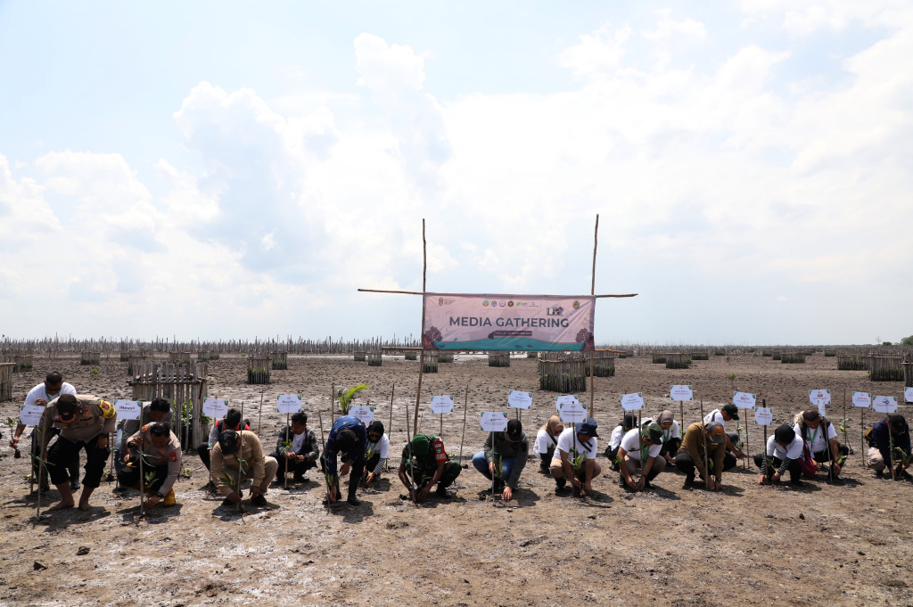 M4CR (Mangroves For Coastal Resilience) menanam mangrove dan rehabilitasi mangrove di Desa Kualat Selat (Ashar/SinPo.id)