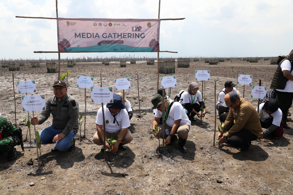 M4CR (Mangroves For Coastal Resilience) menanam mangrove dan rehabilitasi mangrove di Desa Kualat Selat (Ashar/SinPo.id)