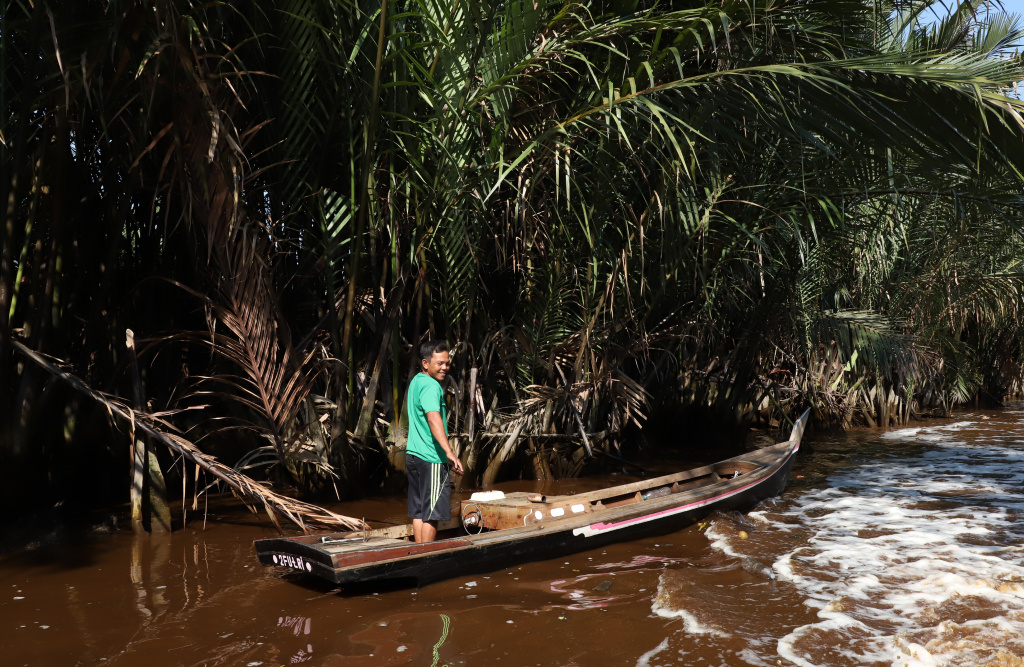 M4CR (Mangroves For Coastal Resilience) menanam mangrove dan rehabilitasi mangrove di Desa Kualat Selat (Ashar/SinPo.id)