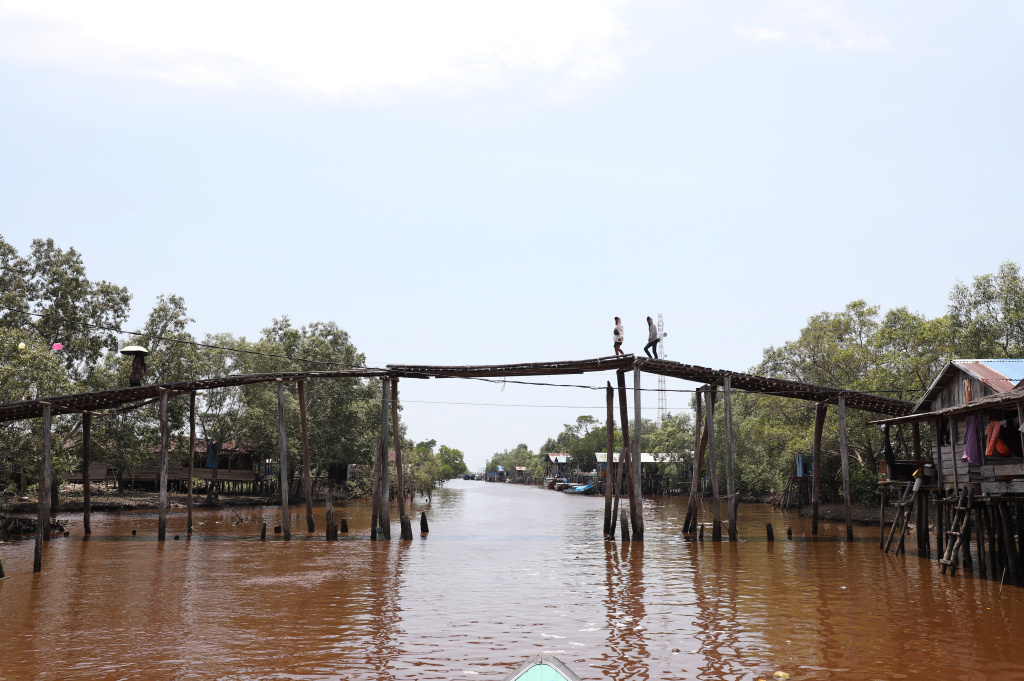 M4CR (Mangroves For Coastal Resilience) menanam mangrove dan rehabilitasi mangrove di Desa Kualat Selat (Ashar/SinPo.id)