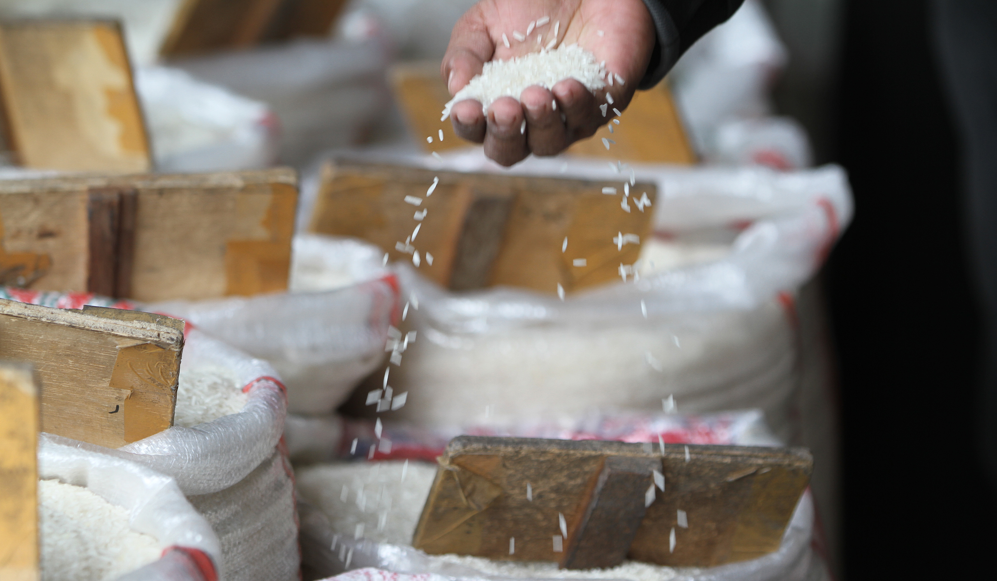 Pembeli mengecek kualitas beras di Pasar Induk Beras Cipinang. (Agus Priatna/SinPo.id)