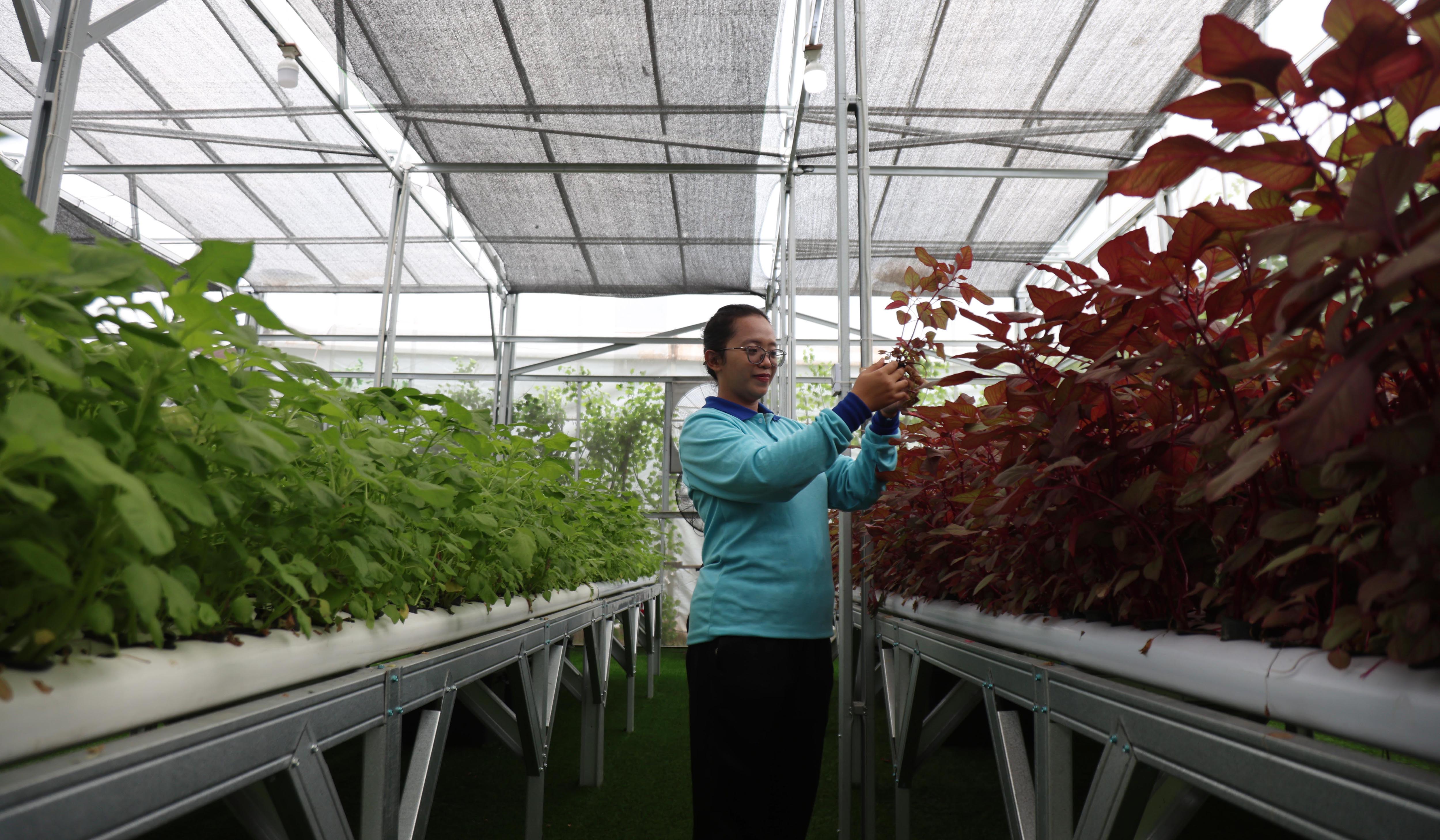 Fasilitas SPPG Polri di Palmerah. (Agus Priatna/SinPo.id)