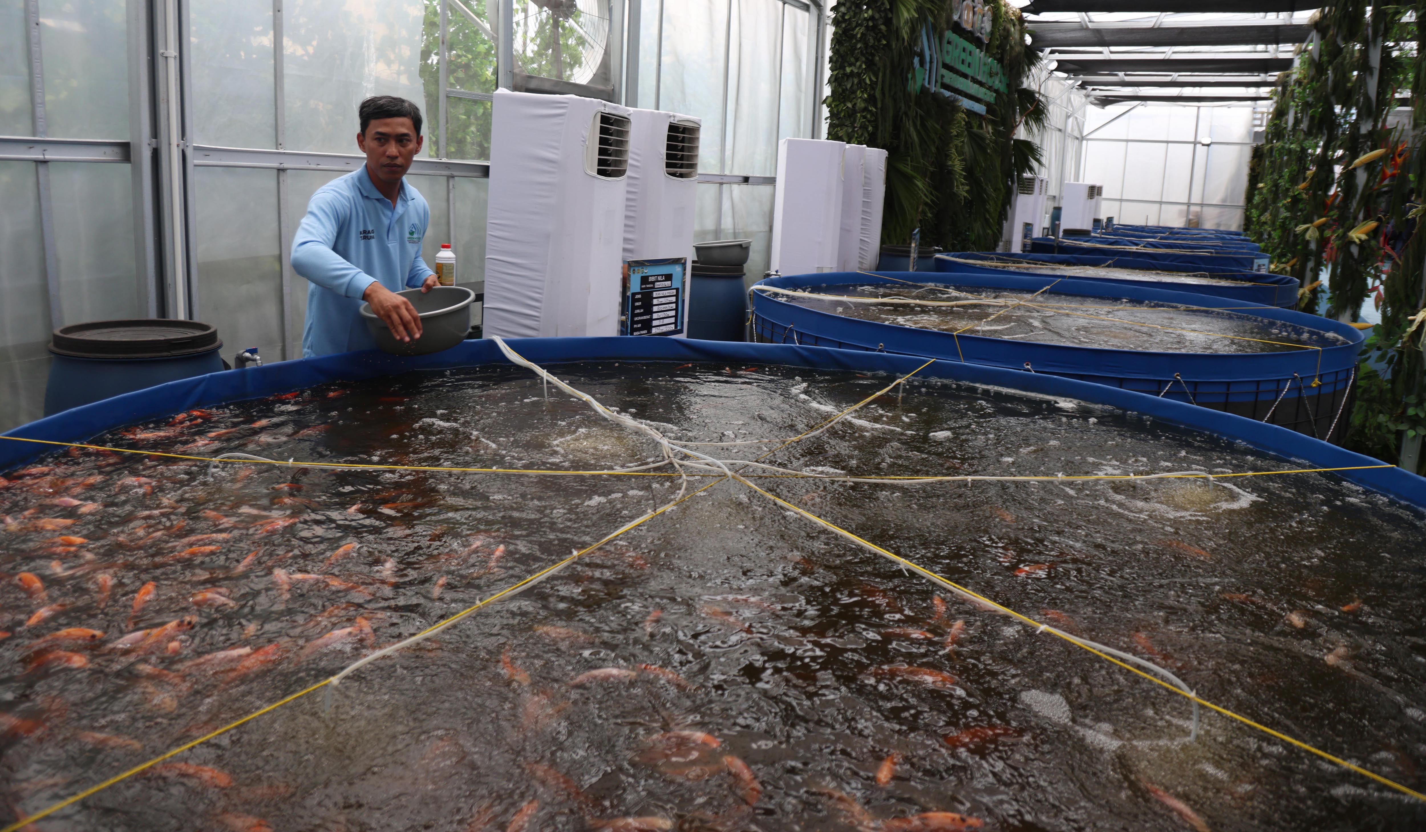 Fasilitas SPPG Polri di Palmerah. (Agus Priatna/SinPo.id)