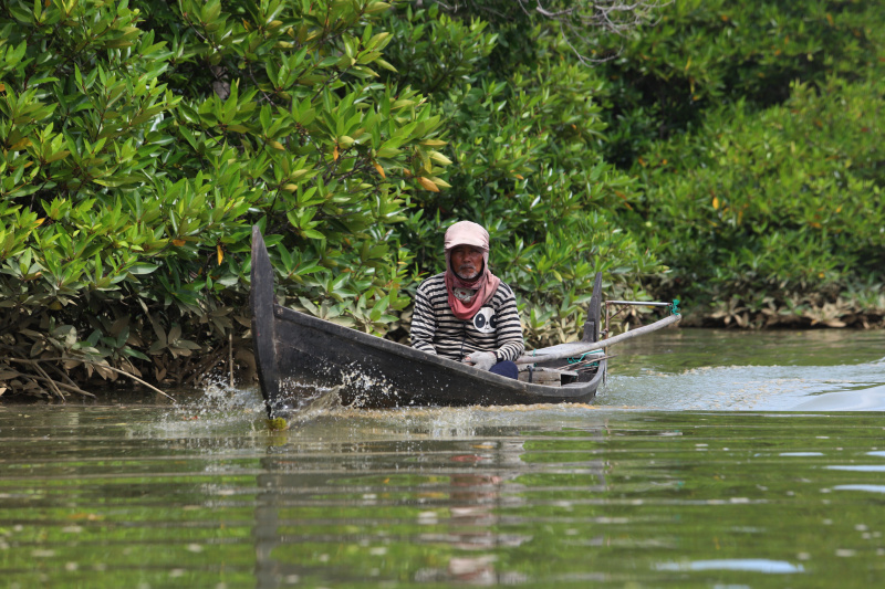 Melihat keindahan harta karun tersebunyi Hutan Mangrove Pasar Rawa di Kabupaten Langkat, Sumatera Utara (Ashar/SinPo.id)