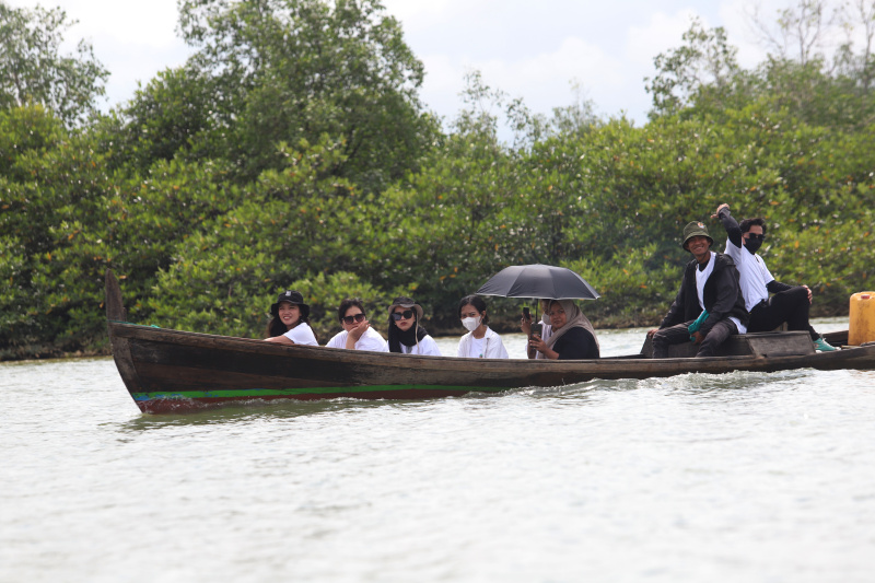 Melihat keindahan harta karun tersebunyi Hutan Mangrove Pasar Rawa di Kabupaten Langkat, Sumatera Utara (Ashar/SinPo.id)