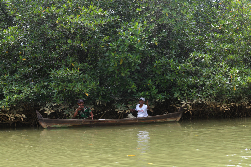 Melihat keindahan harta karun tersebunyi Hutan Mangrove Pasar Rawa di Kabupaten Langkat, Sumatera Utara (Ashar/SinPo.id)