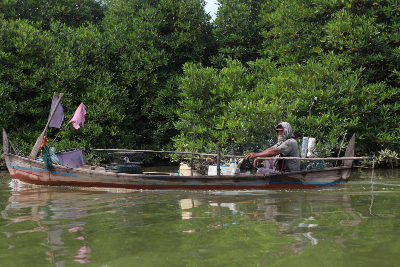 Melihat keindahan harta karun tersebunyi Hutan Mangrove Pasar Rawa di Kabupaten Langkat, Sumatera Utara (Ashar/SinPo.id)