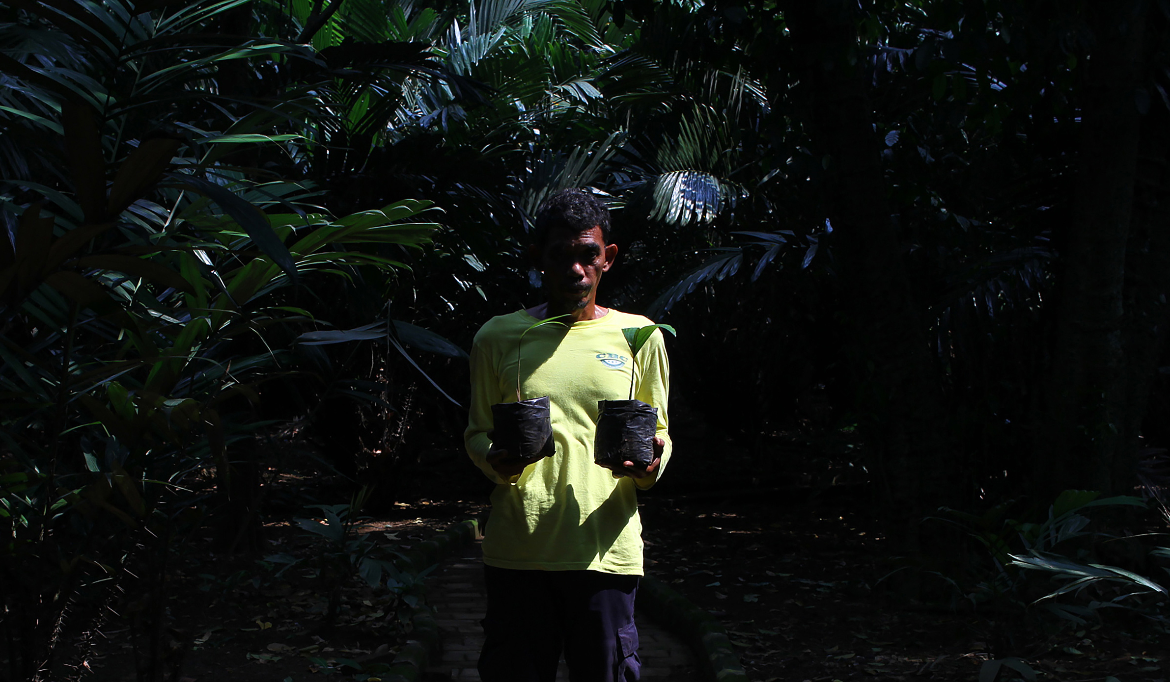 Pekerja melakukan perawatan pohon salak Condet. (Agus Priatna/SinPo.id)