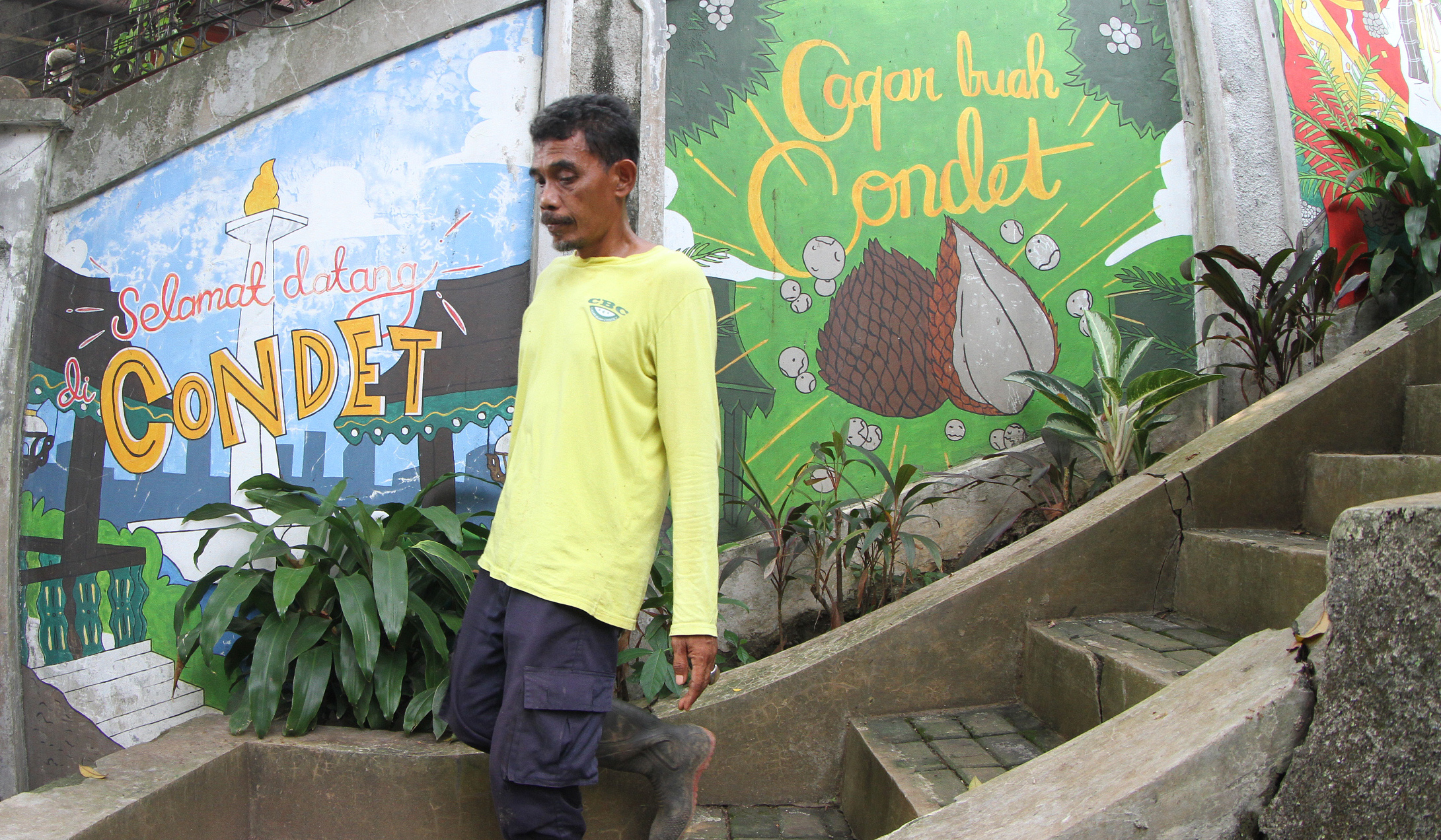 Pekerja melakukan perawatan pohon salak Condet. (Agus Priatna/SinPo.id)