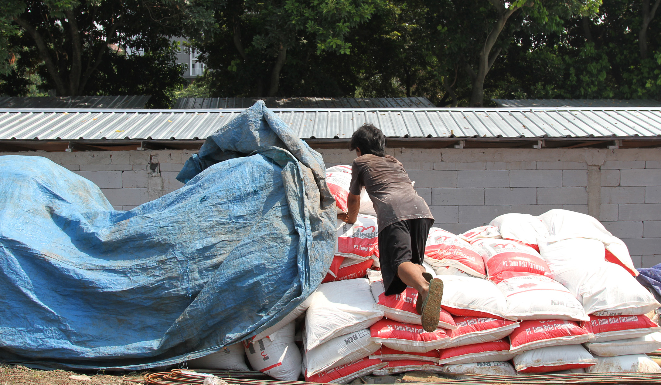 Pembangunan Sentra Fauna Lenteng Agung. (Agus Priatna/SinPo.id)