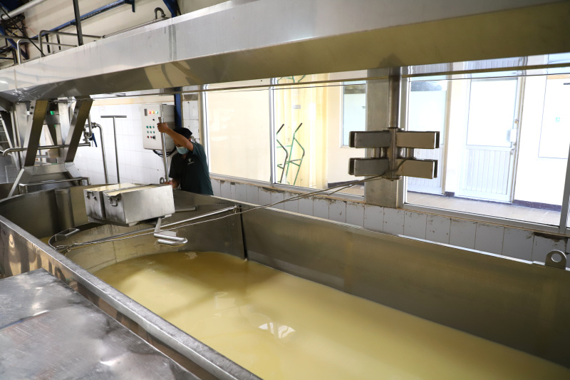 Melihat pabrik susu terbesar di Bandung Selatan Koperasi Peternakan Susu Bandung Selatan (KPBS) Pangalengan (Ashar/SinPo.id)