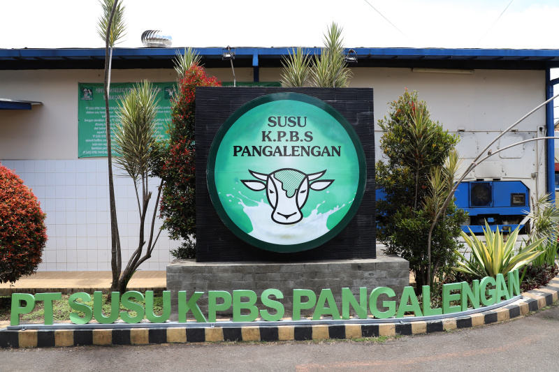 Melihat pabrik susu terbesar di Bandung Selatan Koperasi Peternakan Susu Bandung Selatan (KPBS) Pangalengan (Ashar/SinPo.id)