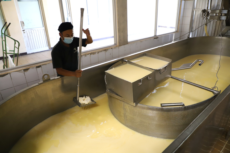 Melihat pabrik susu terbesar di Bandung Selatan Koperasi Peternakan Susu Bandung Selatan (KPBS) Pangalengan (Ashar/SinPo.id)