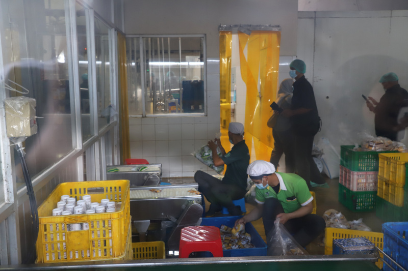 Melihat pabrik susu terbesar di Bandung Selatan Koperasi Peternakan Susu Bandung Selatan (KPBS) Pangalengan (Ashar/SinPo.id)