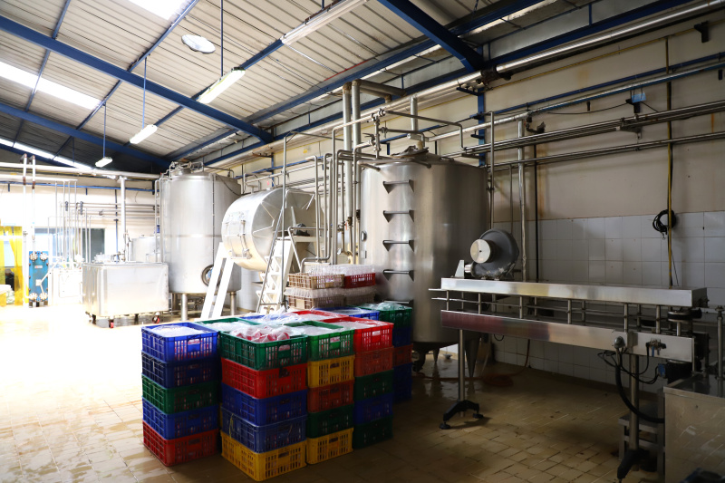 Melihat pabrik susu terbesar di Bandung Selatan Koperasi Peternakan Susu Bandung Selatan (KPBS) Pangalengan (Ashar/SinPo.id)