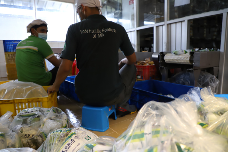 Melihat pabrik susu terbesar di Bandung Selatan Koperasi Peternakan Susu Bandung Selatan (KPBS) Pangalengan (Ashar/SinPo.id)