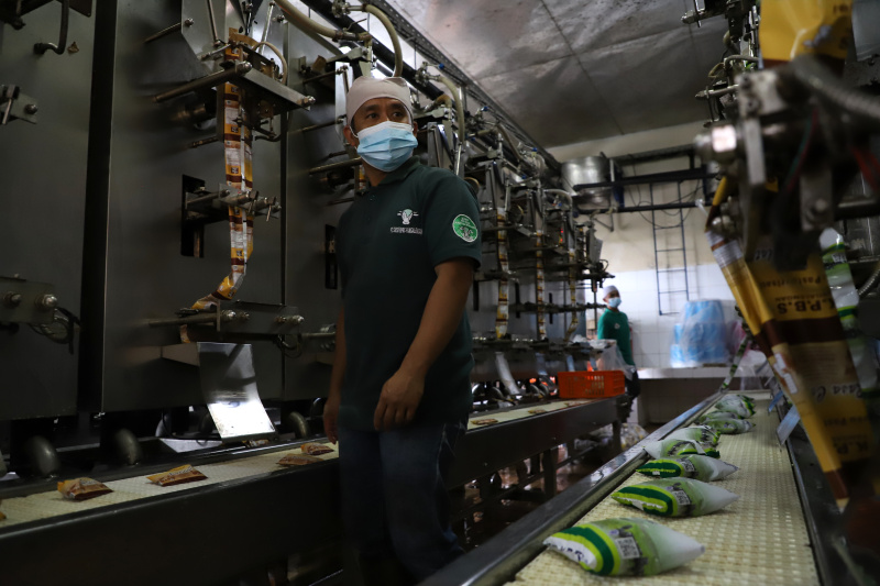 Melihat pabrik susu terbesar di Bandung Selatan Koperasi Peternakan Susu Bandung Selatan (KPBS) Pangalengan (Ashar/SinPo.id)