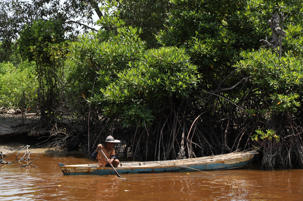Melihat potret kehidupan warga desa Kuala Selat yang berpenghasilan dari nelayan petani Kelapa dan Mangrove (Ashar/SinPo.id)
