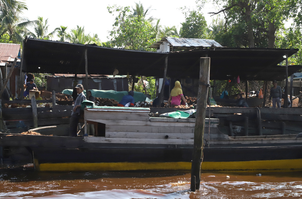 Melihat potret kehidupan warga desa Kuala Selat yang berpenghasilan dari nelayan petani Kelapa dan Mangrove (Ashar/SinPo.id)