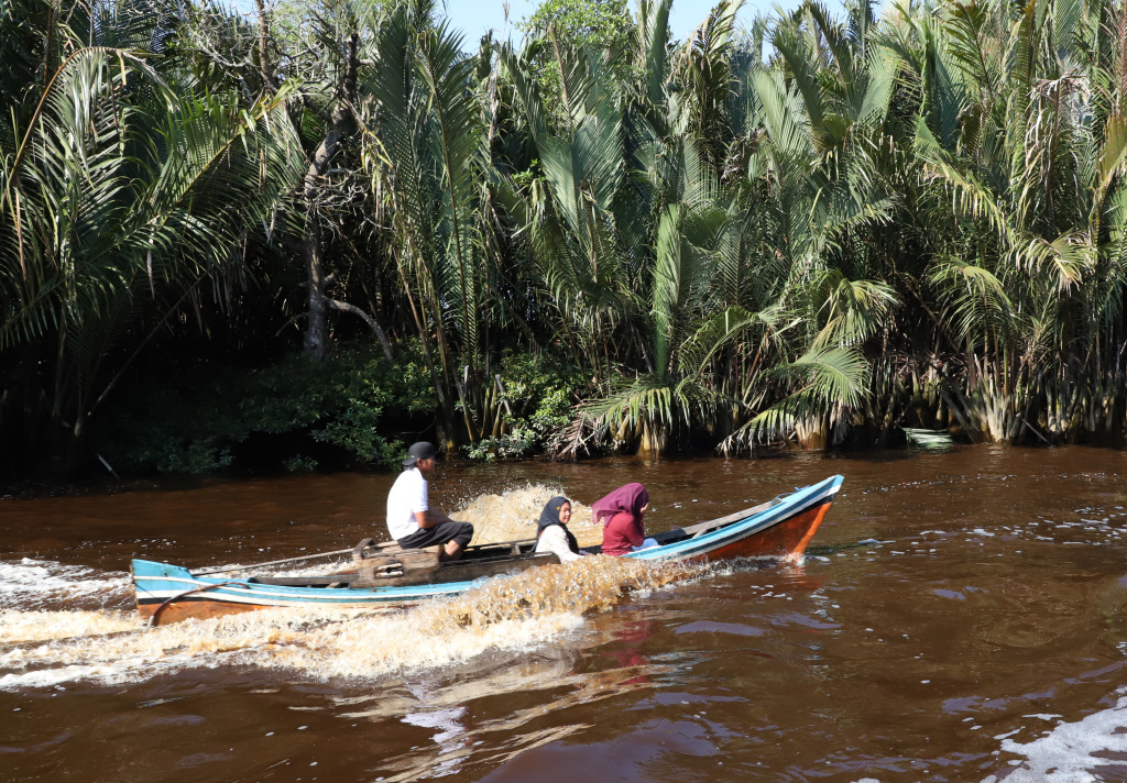 Melihat potret kehidupan warga desa Kuala Selat yang berpenghasilan dari nelayan petani Kelapa dan Mangrove (Ashar/SinPo.id)
