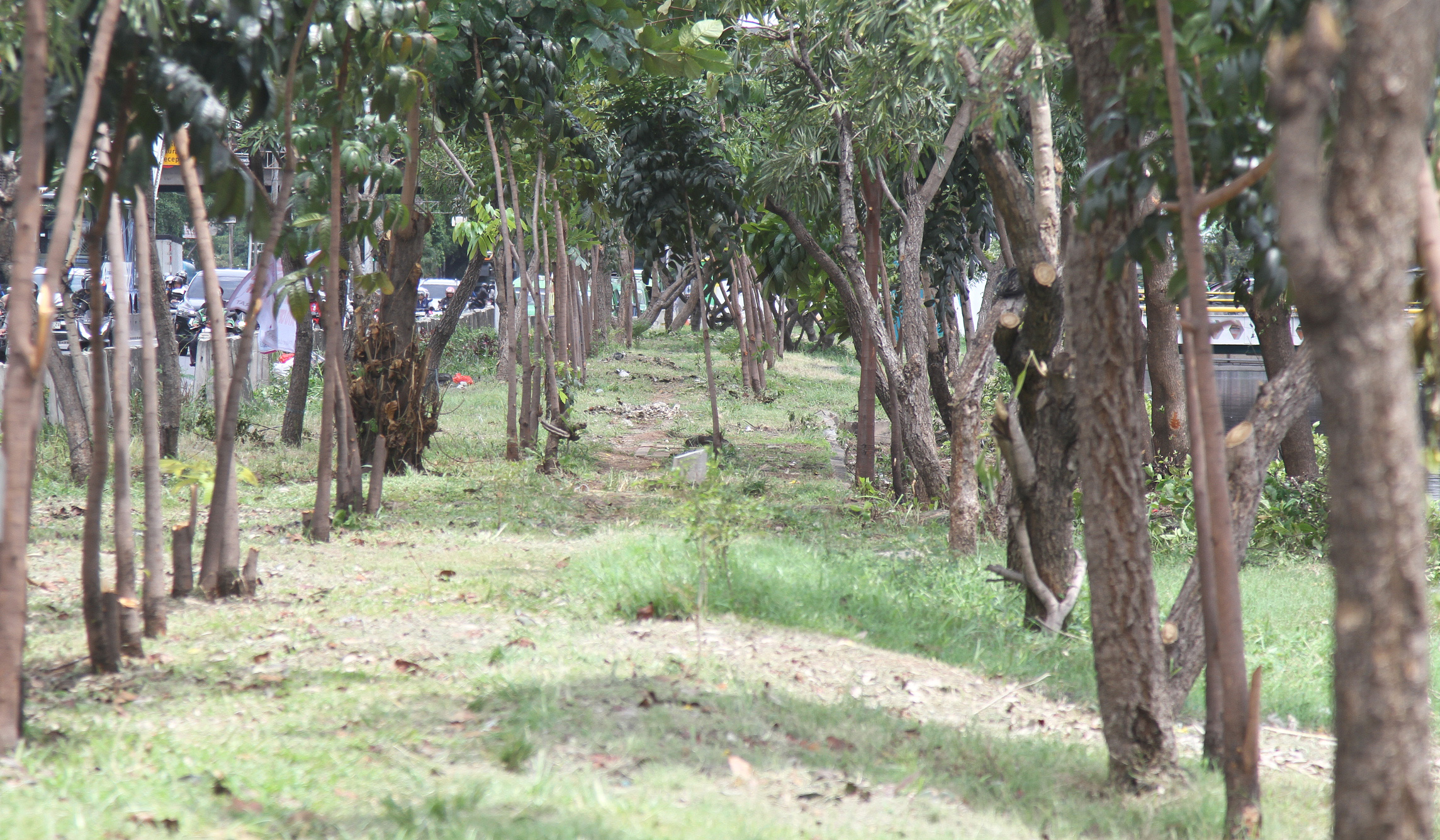 Taman Daan Mogot, Cengkareng, Jakarta Barat. (Agus Priatna/SinPo.id)