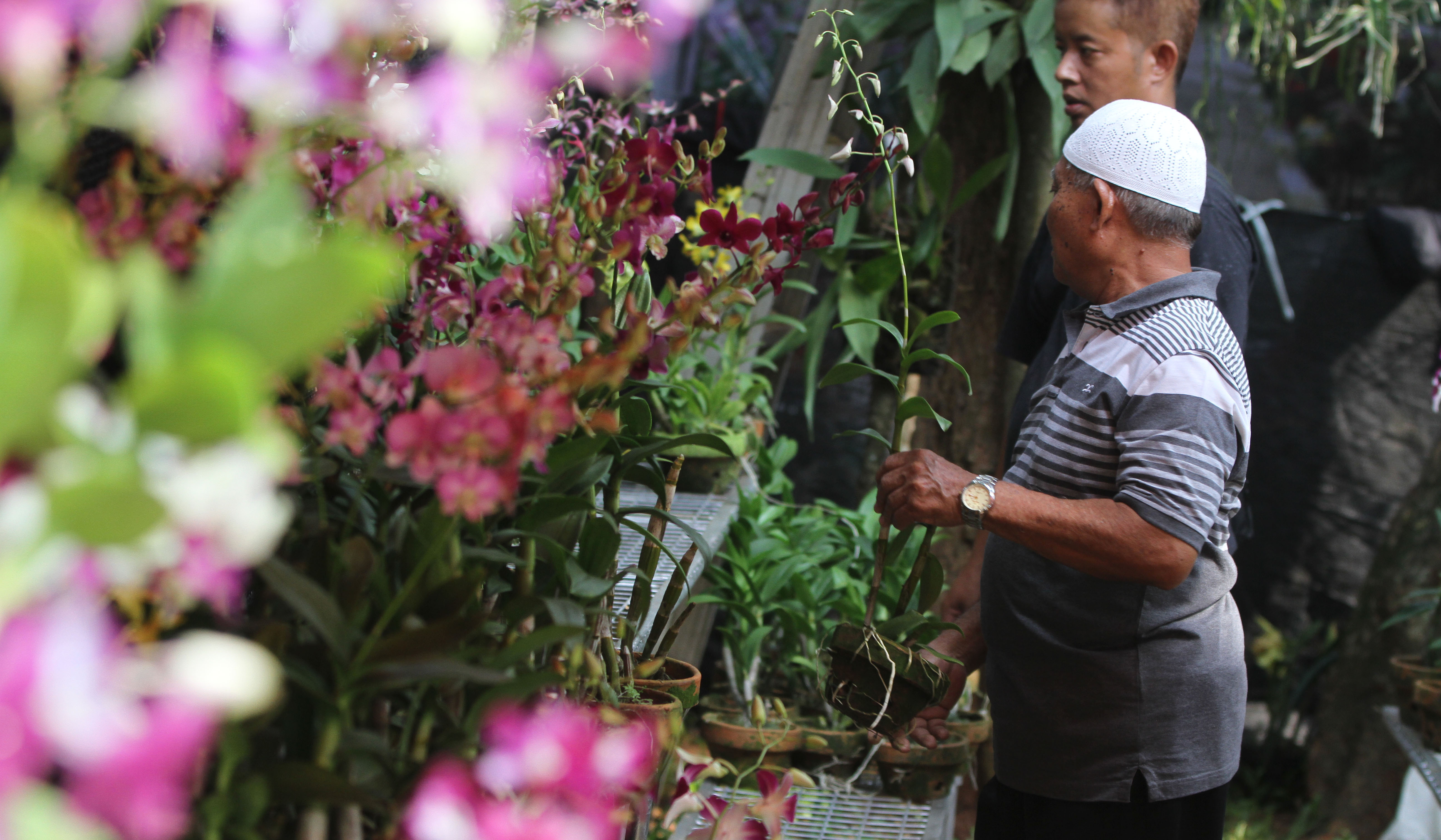 Pameran Flona 2025. (Agus Priatna/SinPo.id)