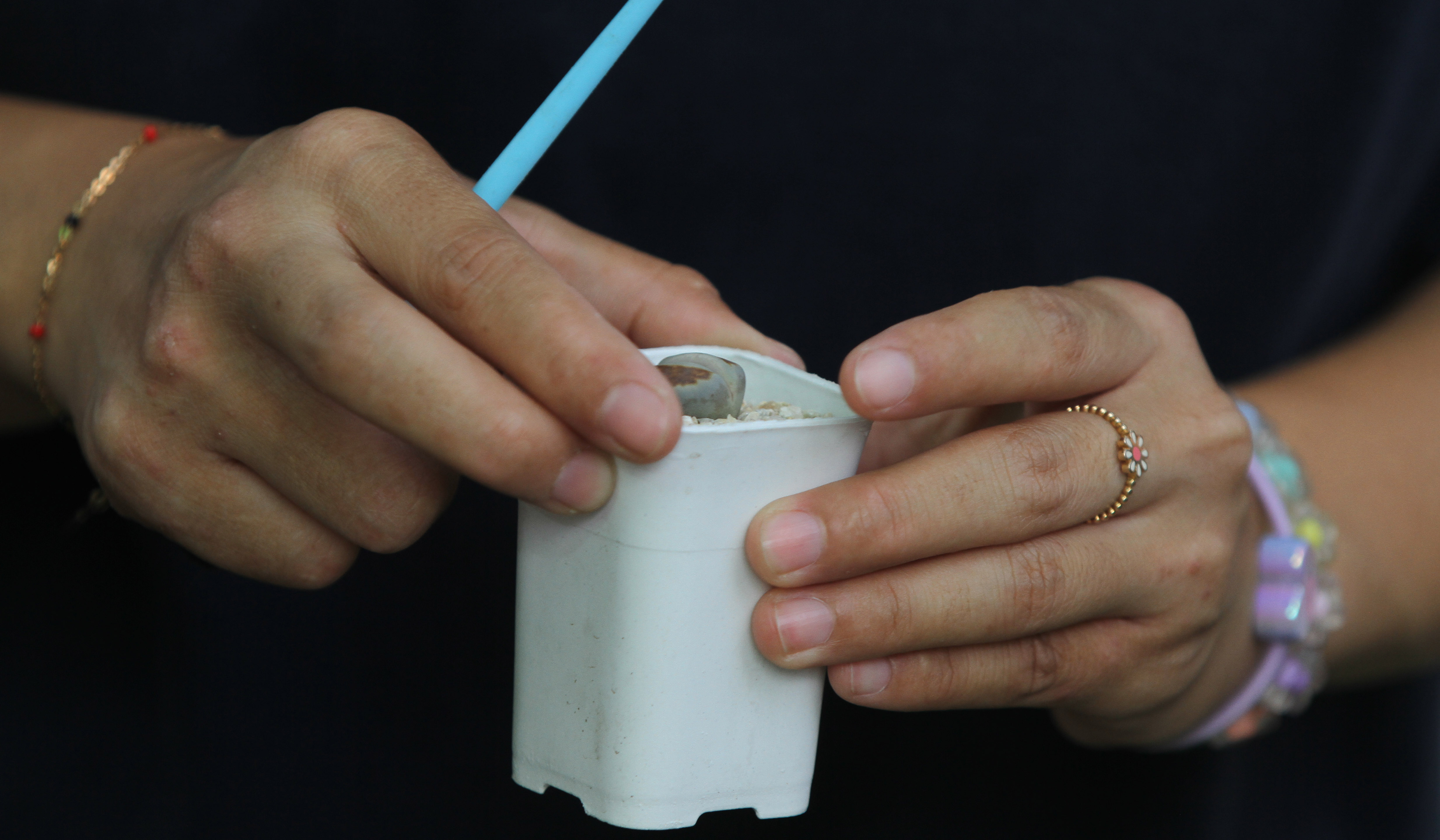 Pameran Flona 2025. (Agus Priatna/SinPo.id)