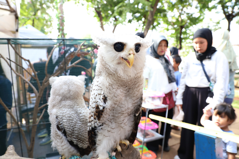 Pameran Flora dan Fauna 2024 kembali digelar di Lapangan Banteng dengan tema