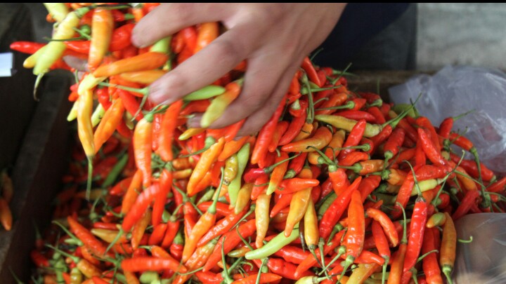 Pedagang cabai di Pasar Kebayoran Lama (SinPo.id/Ashar