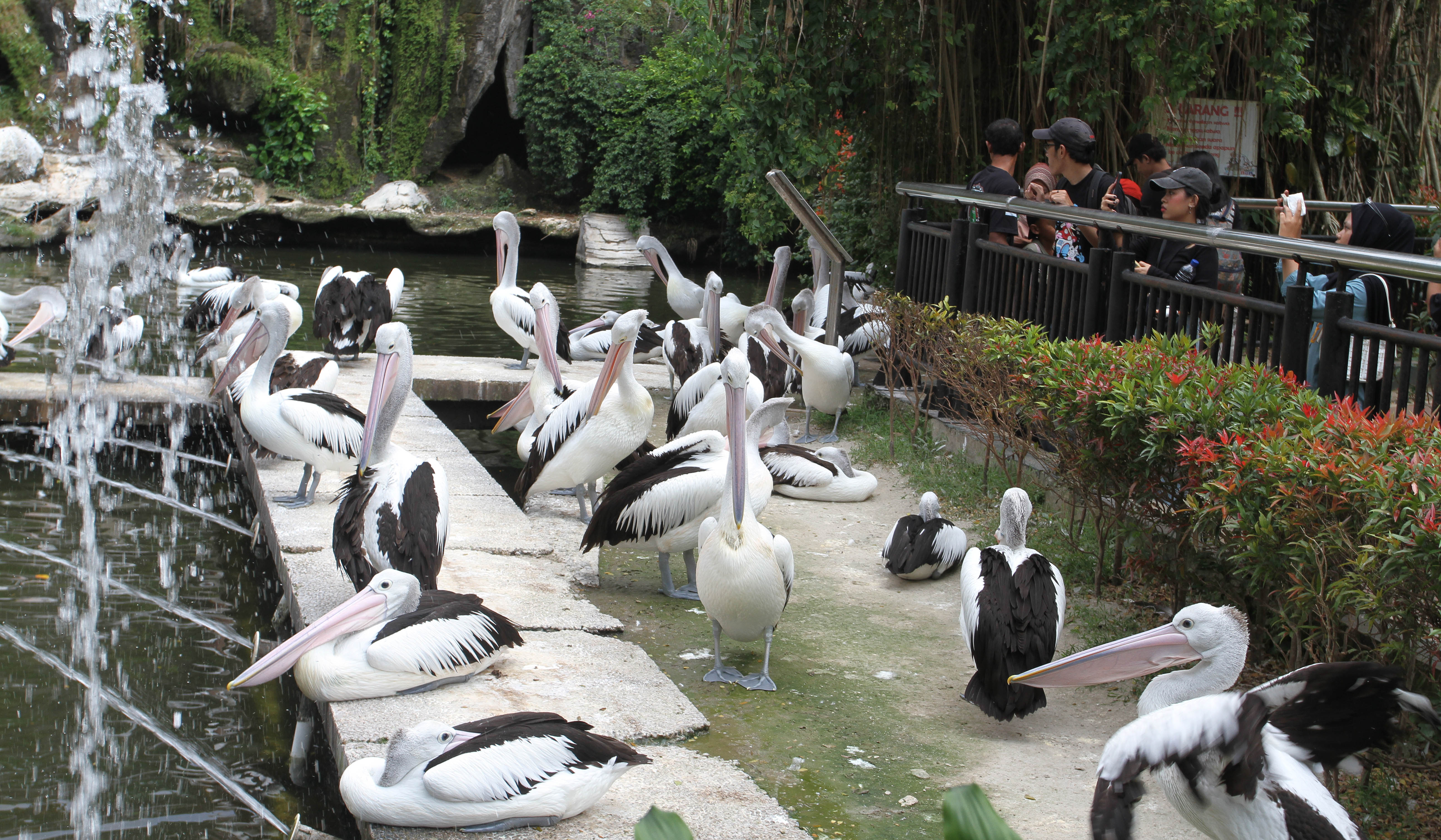 Pengunjung Taman Margasatwa Ragunan. (Agus Priatna/SinPo.id)