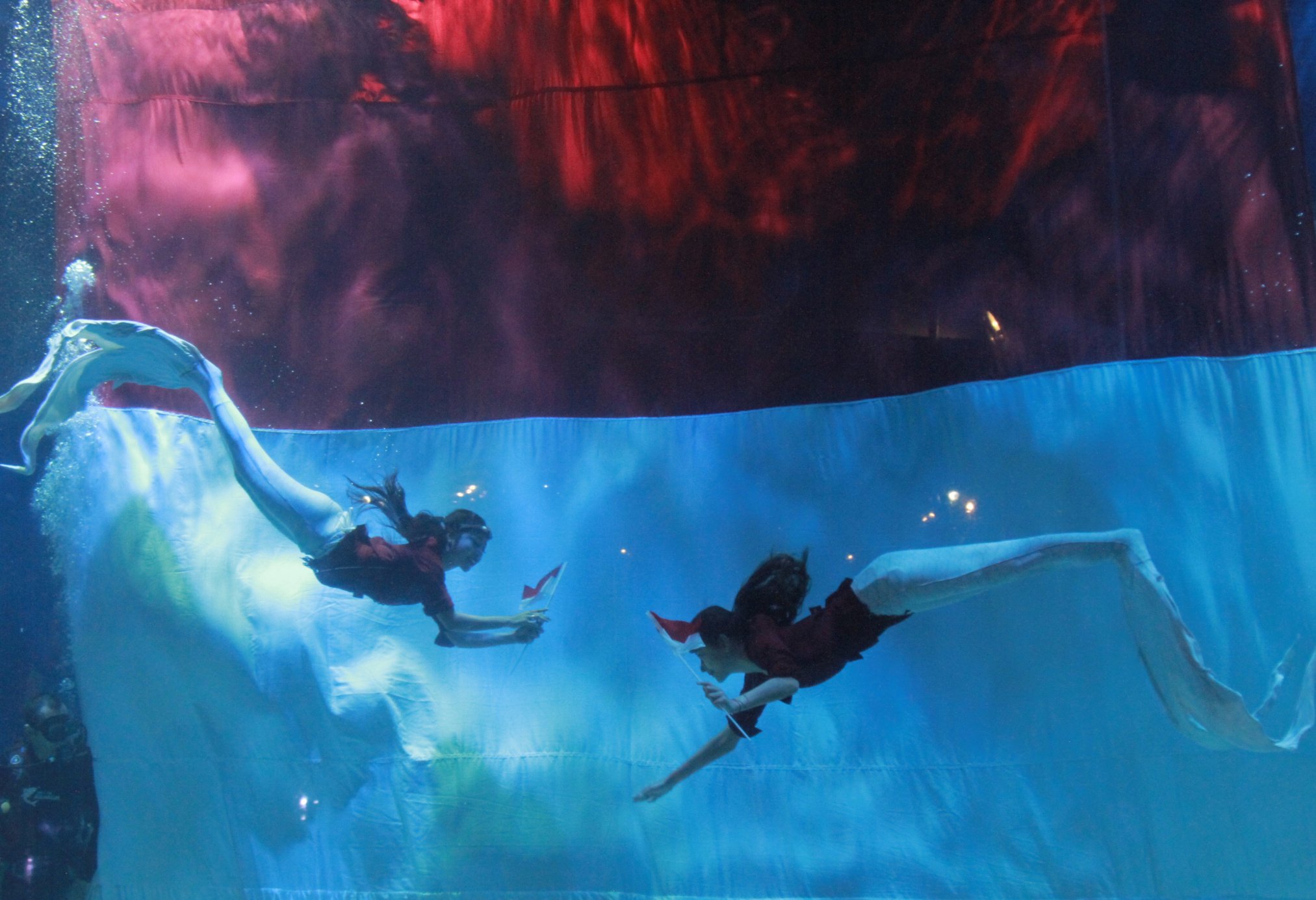 Pengibaran Bendera Merah Putih di dalam Aquarium Besar (Ashar/SinPo.id)